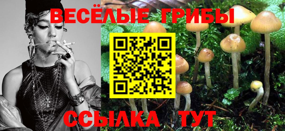 Галлюциногенные грибы мицелий Костомукша