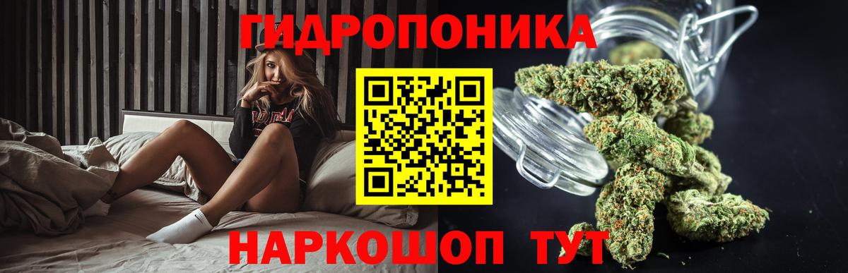 Бошки марихуана семена  Каннабис THC 21%  Вход с VPN  Костомукша  Бошки марихуана сатива 